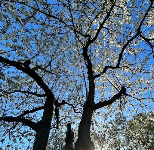 بيت للعطل Am Beverinsee